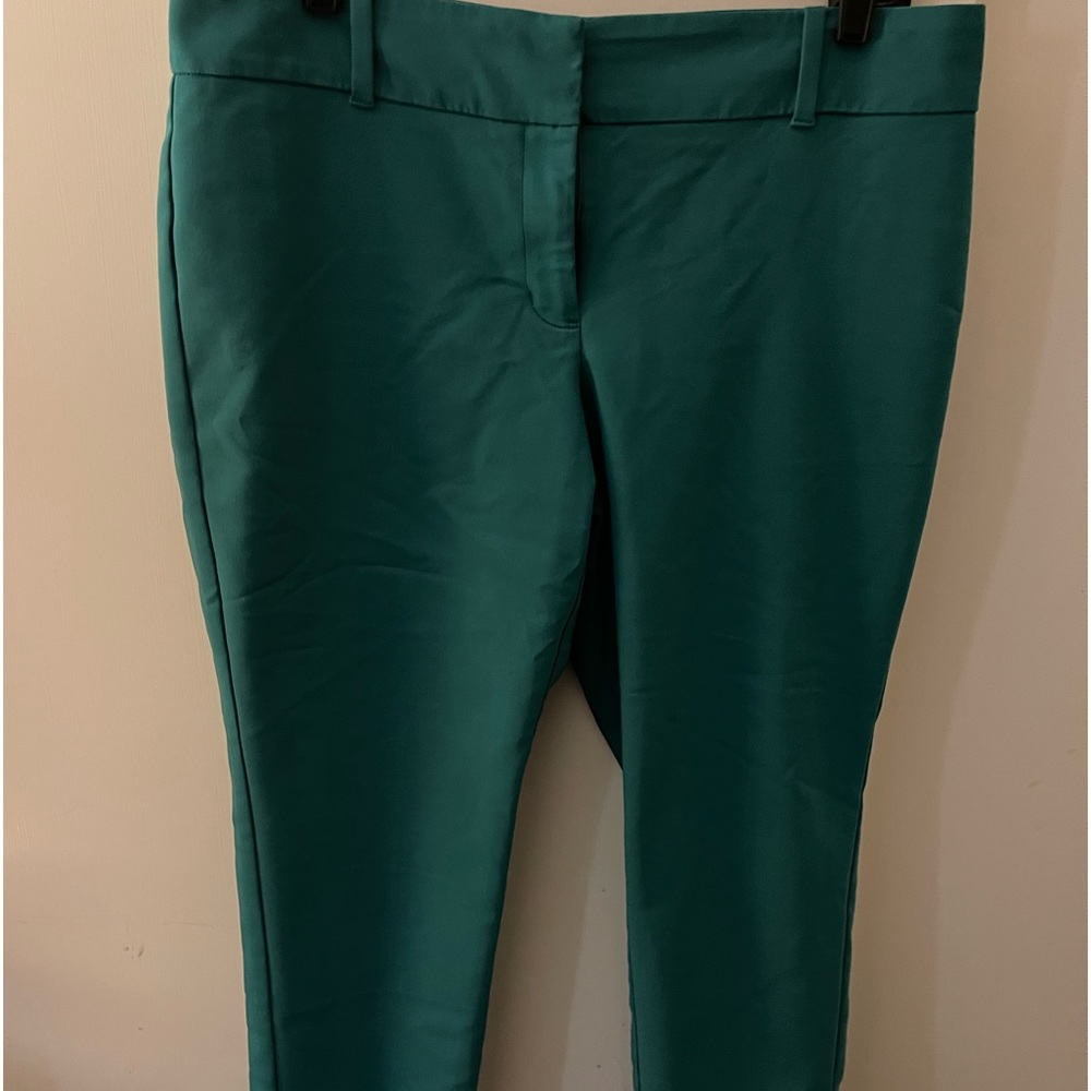 Ladies ankle length zip front pants